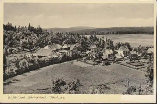 Büntenbock, Stadtansicht, gelaufen 1958