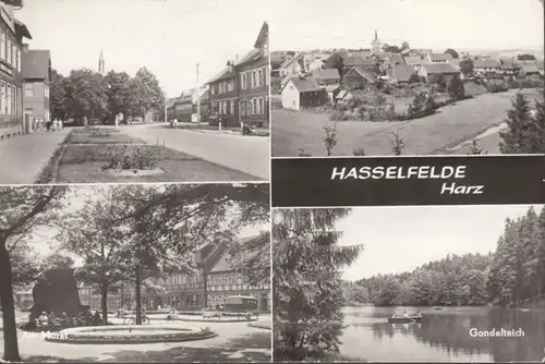 Hasselfelde, Stadtansichten, Markt, Gondelteich, gelaufen 1977