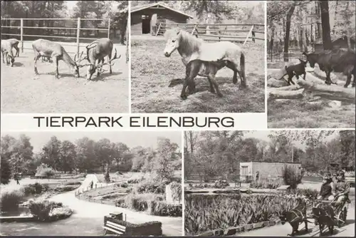 Eilenburg, Tierpark, Mehrbild, gelaufen 1982