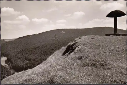 Éponge, vue sur la vallée sauvage de la Roche, auberge de jeunesse à la rochechechal, incurvée