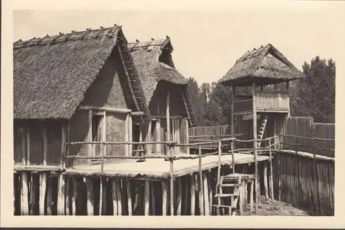 Uhldingen, Freilichtmuseum, Wohnhäuser, Wehrpalisade, ungelaufen