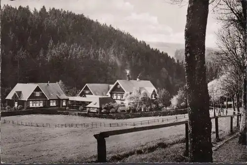 Daun, Das Eifel Heim, Gesellschaft für Kaufmanns Erholungsheime, gelaufen 1956