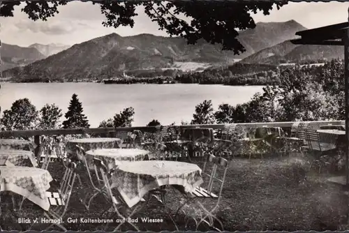 Tegernsee, Restaurant Cafe Gut Kaltenbrunn, Bad Wiessee, gelaufen 1960