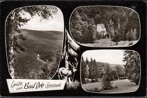 Bad Orb, vue sur les forêts, couru en 1964