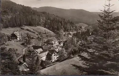 Bad Rippoldsau, Stadtansicht, gelaufen 1956