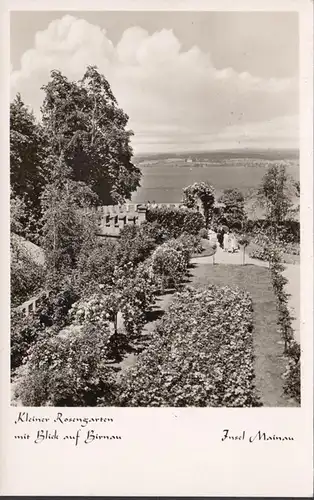 Insel Mainau, Kleiner Rosengarten, gelaufen 1951