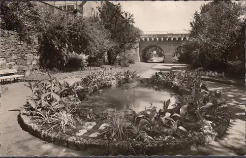 Radolfzell, Im Stadtgarten, gelaufen 195?