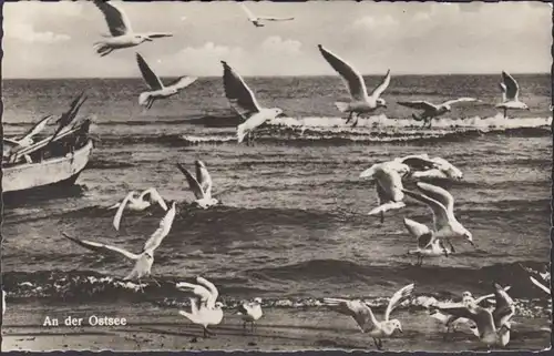 Sur la mer Baltique, les mouettes et les bateaux de pêche, en panne