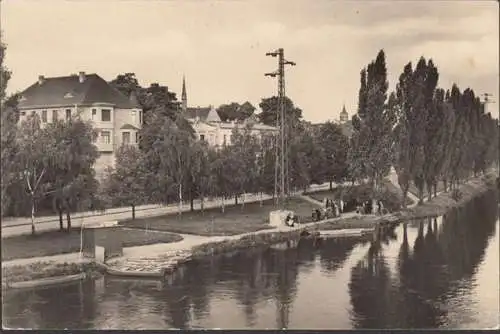 Alsleben, Blick von der Saalebrücke, ungelaufen