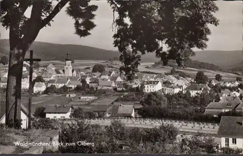 Faucon de forêt, vue sur le mont des Oliviers, incurvée