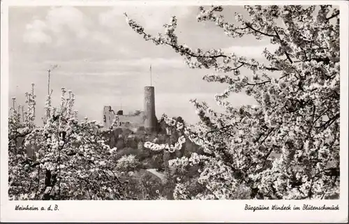 Weinheim, Burgruine Windeck dans les décorations florales, couru en 1958