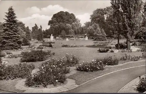 Zweibrücken, Rosengarten, gelaufen 1959