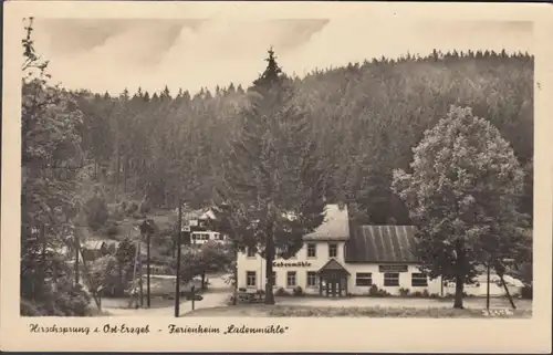 Saut de cerf, maison de vacances Boutique, couru