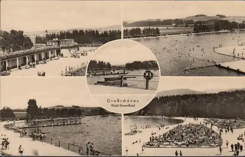 Grand Schönau, plage de bois, incurvée