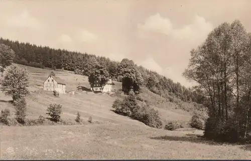 Richenbach, maisons en forêt incurvées