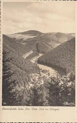 Unterweissbach, Leibis, Blick ins Schlagetal, ungelaufen