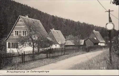Hirschsprung, Osterzgebirge, Häuser am Wald, gelaufen 1965