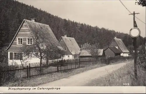 Saut de cerf, Montagnes de Pâques, maisons près des bois, couru en 1965