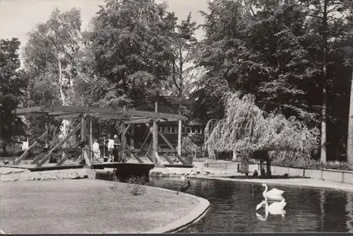 Ueckermüde, parc animalier, cygne, pont, couru 1976