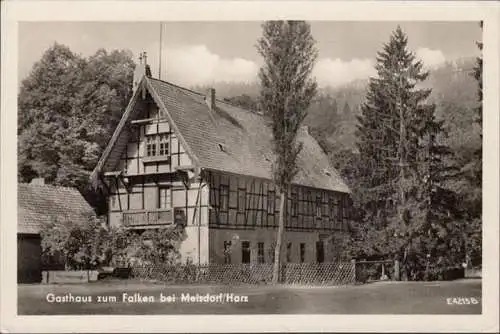 AK Meisdorf, Gasthaus zum Falken, ungelaufen