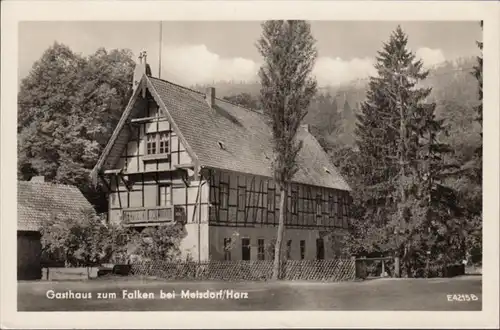 Falkenstein, Gasthaus zu Falken, ungelaufen