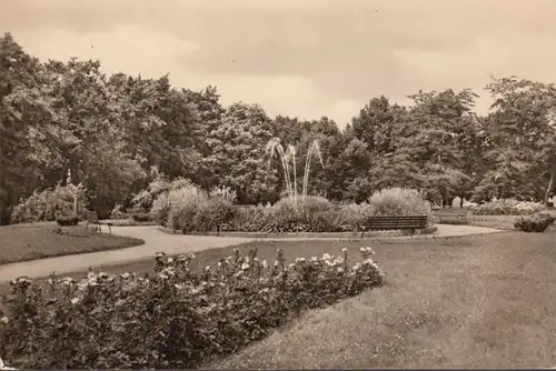 Prenzlau, Im Stadtpark, gelaufen 1964