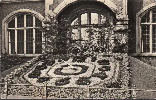 Bernburg, montre fleurie, courue en 1961