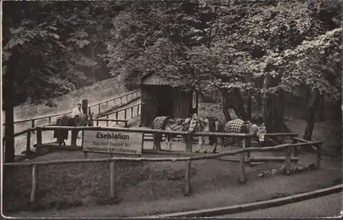 Eisenach, Wartburg, station d'ânes, couru