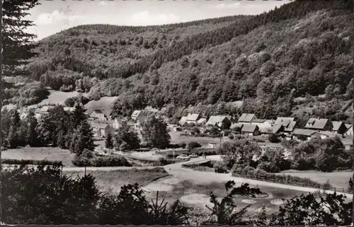 Sieger im Harz, Teilansicht, gelaufen 1980