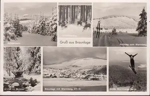 Braunlage, Wurmberg, Skispringer, Achtermann, Wildfütterung, gelaufen 1952