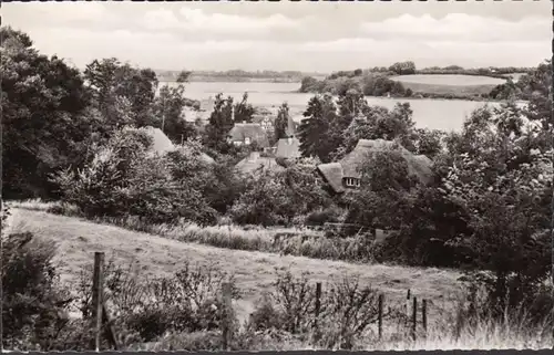 Malente, Blick auf den Kellersee, Reetdachhäuser, gelaufen 1959
