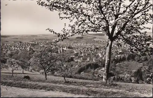 Bad Mergentheim, vue panoramique, inachevée- date 1956