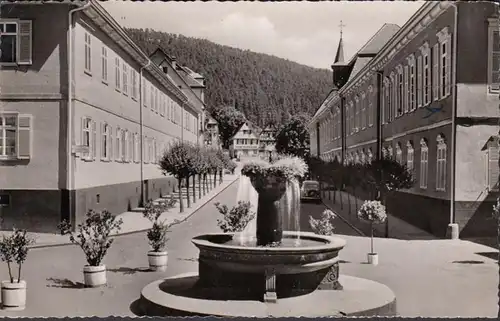 Bad Teinach, Blick aus dem Portal des Hotels, gelaufen 1955