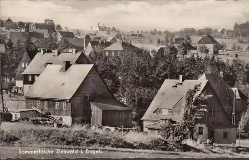 Forêt d'étain fraîche d 'été, vue sur la ville, incurvée