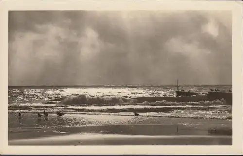 Kühlungsborn, Strand, Möwen, gelaufen