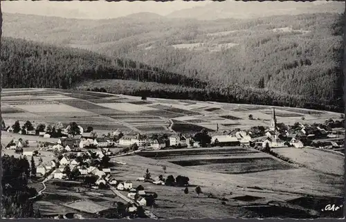 Vert évêque, vue panoramique, incurvée