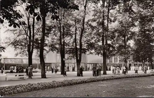 Bad Mergentheim, Wandelhalle, ungelaufen- datiert 1959