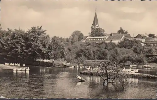 Nienburg, Neugattersleben, See, Kirche, Schwäne, ungelaufen