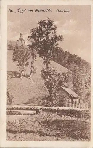 St. Ägyd am Neuwalde, Osterkogel, gelaufen 1935