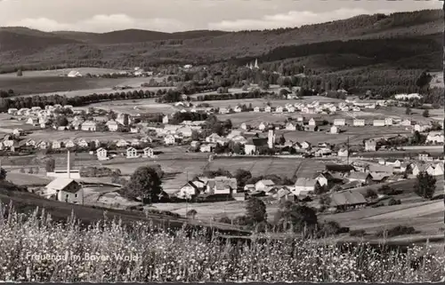 Frauenau, Stadtansicht, ungelaufen