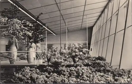 Erfurt, Gartenbauausstellung 1961, Blumen- und Zierpflanzenbau, gelaufen 1964