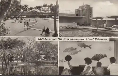 DSR Lines mit MS Völkerfreundschaft auf Kubareise, gelaufen 1967