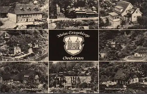 Oederan, sapin vert, maison de loisirs, Maison forestière, incurvée