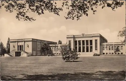 Zinowitz, Maison de la culture, couru