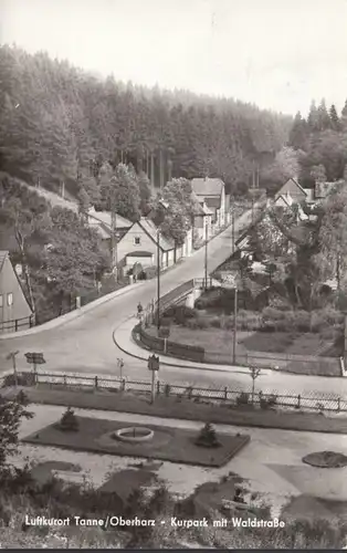 Tanne, Kurpark und Waldstrasse, gelaufen 1981