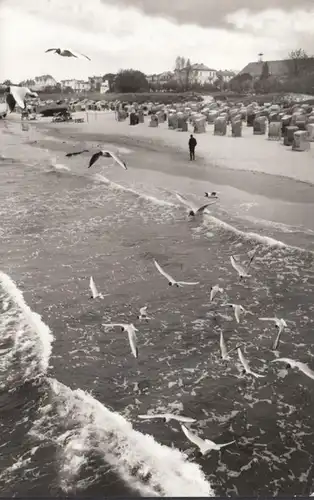 Ahlbeck, Strand, Strandkörbe, Möwen, gelaufen 1981