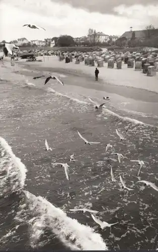 Ahlbeck, plage, corbeilles de plage. Mouettes, courues en 1981