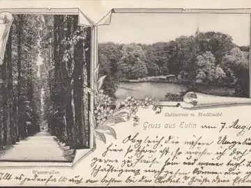 Gruss aus Eutin, Wasserallee, Eutinersee mit Stadtbucht, gelaufen 1900