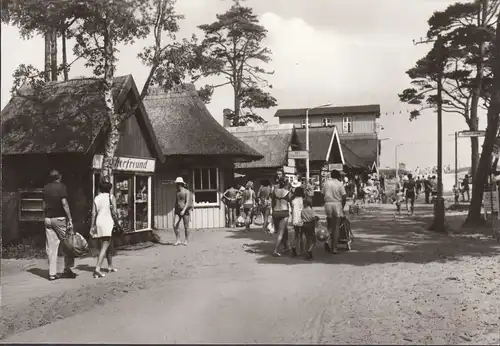 Prerow, Weg zum Strand, ungelaufen