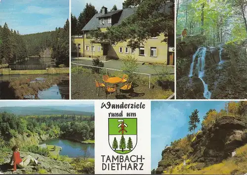 Tambach-Dietharz, barrage, bois, faucon, non-roulé